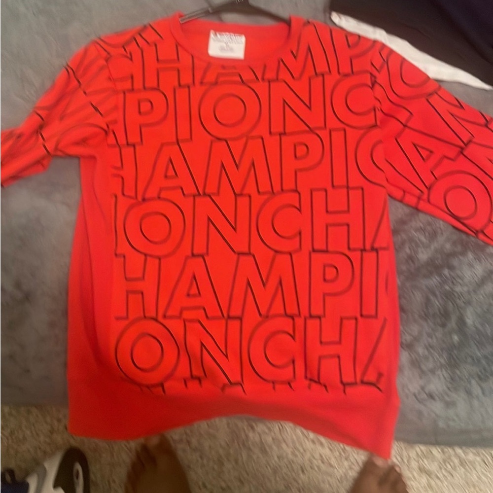 Champion Sweater